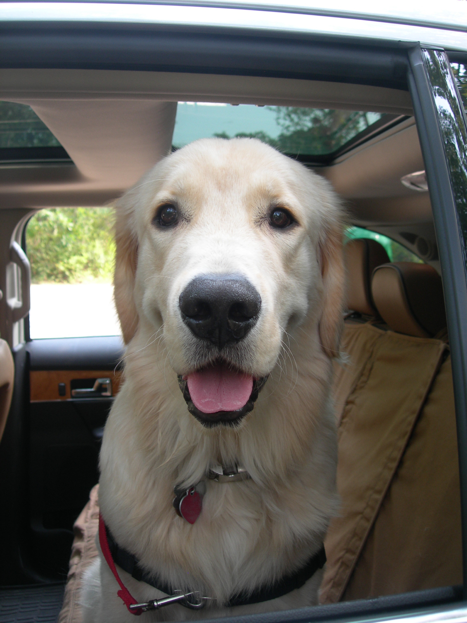 Mason's ready to go for a ride