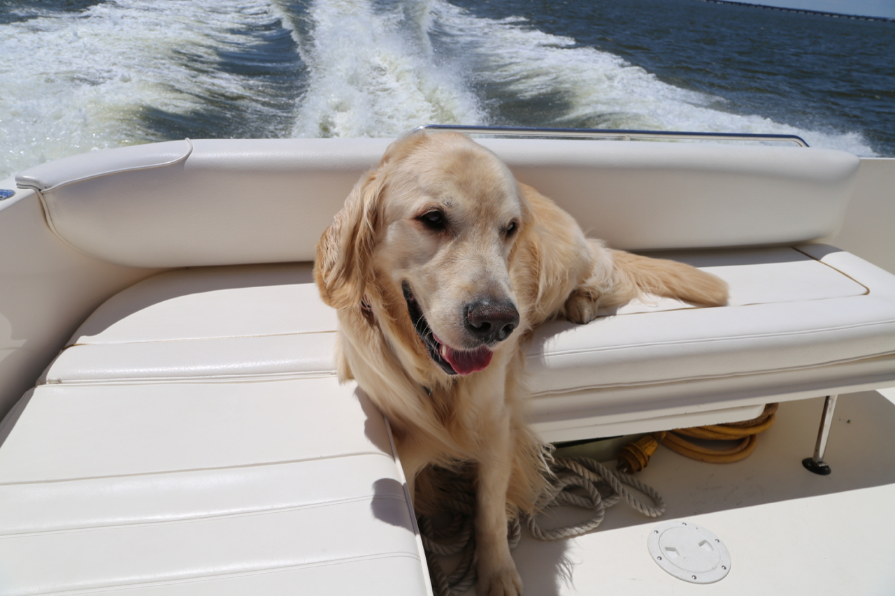 Mason boating
