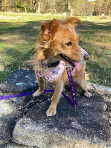 Violet visiting a park